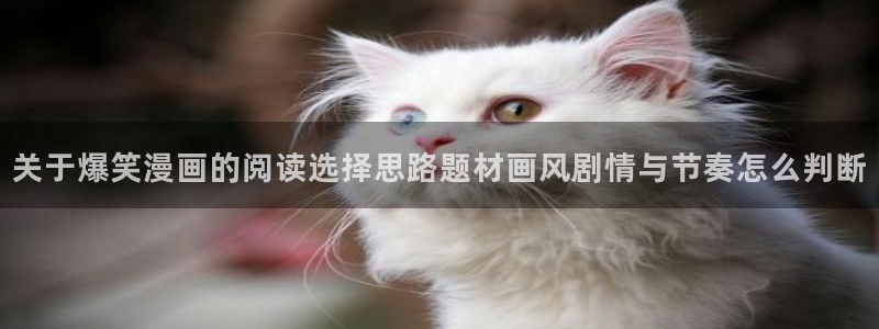 七七漫画人气排行榜